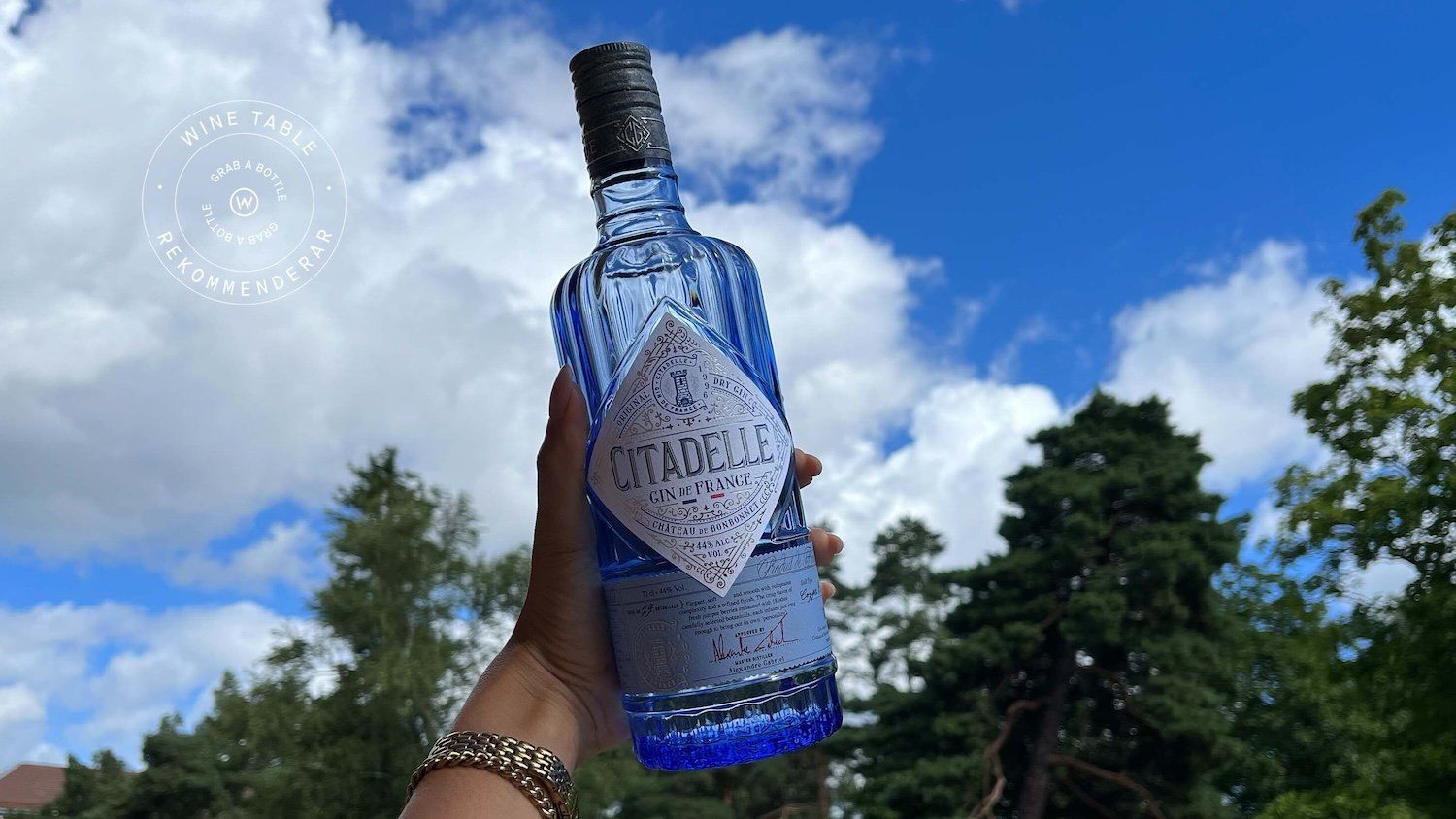 Bild på Tips – tre bra gin till sommarens drinkar