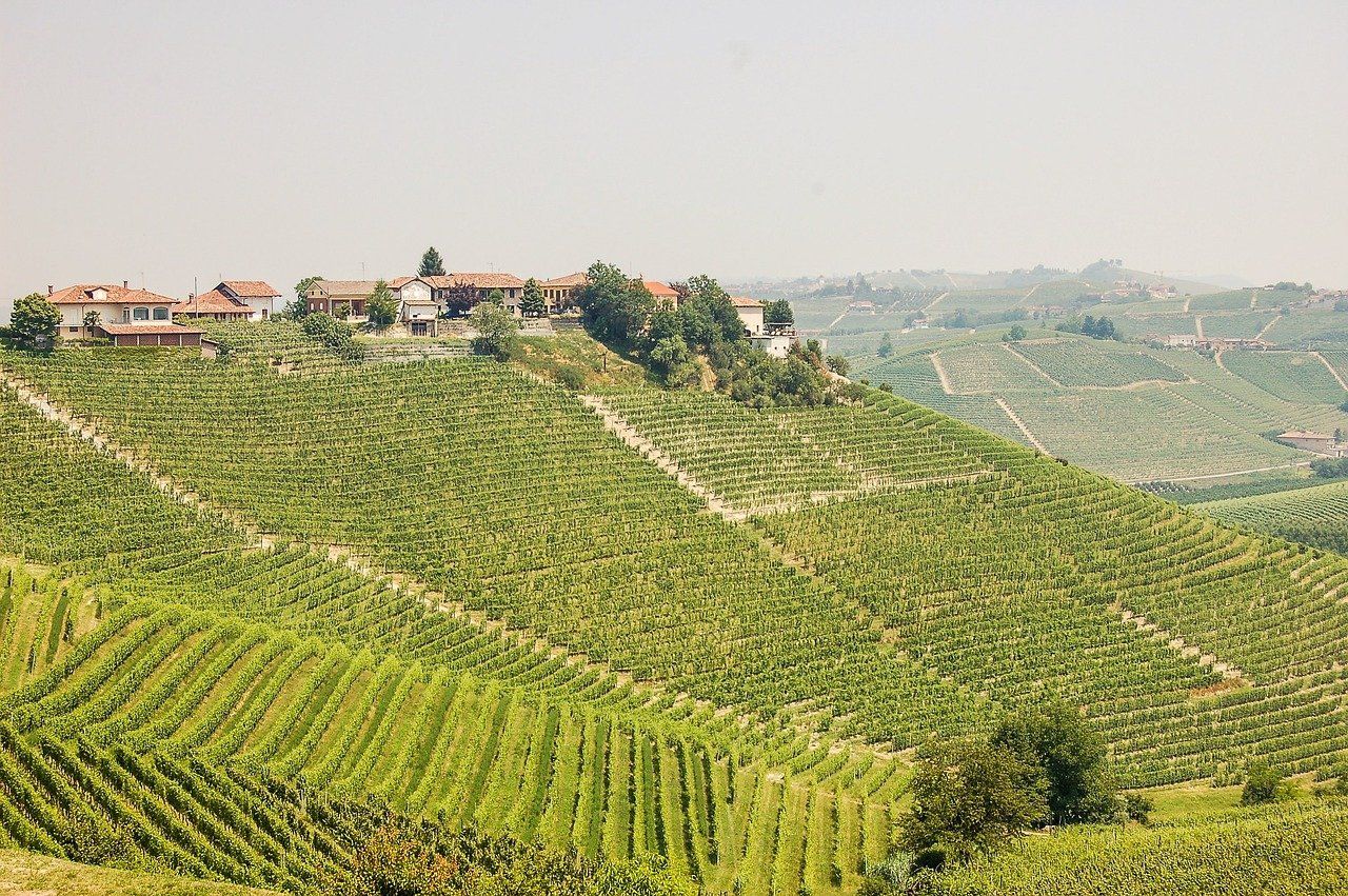 Bild på Fem frågor och svar om Piemonte
