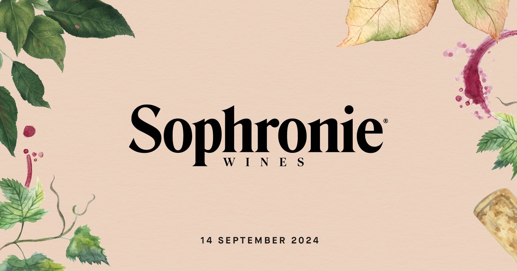 Bild på Sophronie Wines – Höstsalongen Göteborg 2024