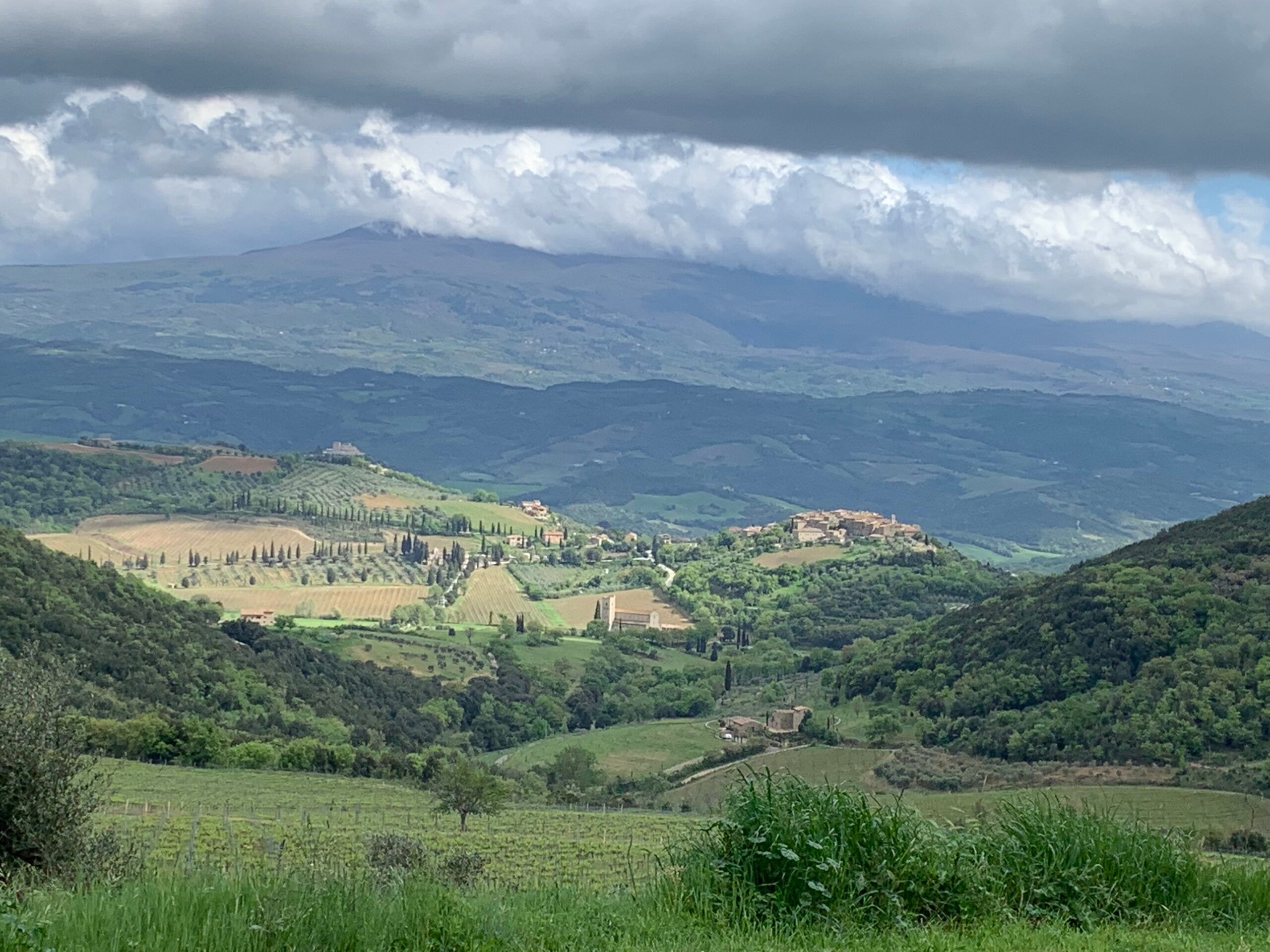 Brunello di Montalcino 2020 – en lockande och välbalanserad årgång