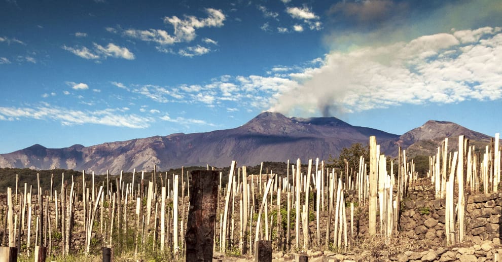 Vin från Etna – hur står det till på Sicilien?