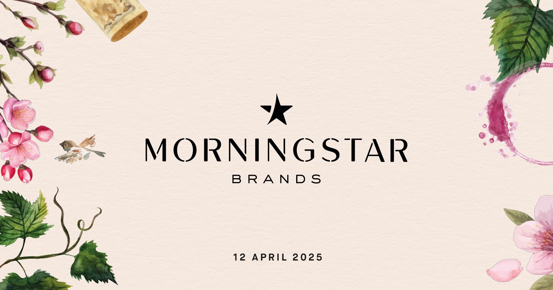 Bild på Vårsalongen Stockholm 2025 – Morningstar Brands