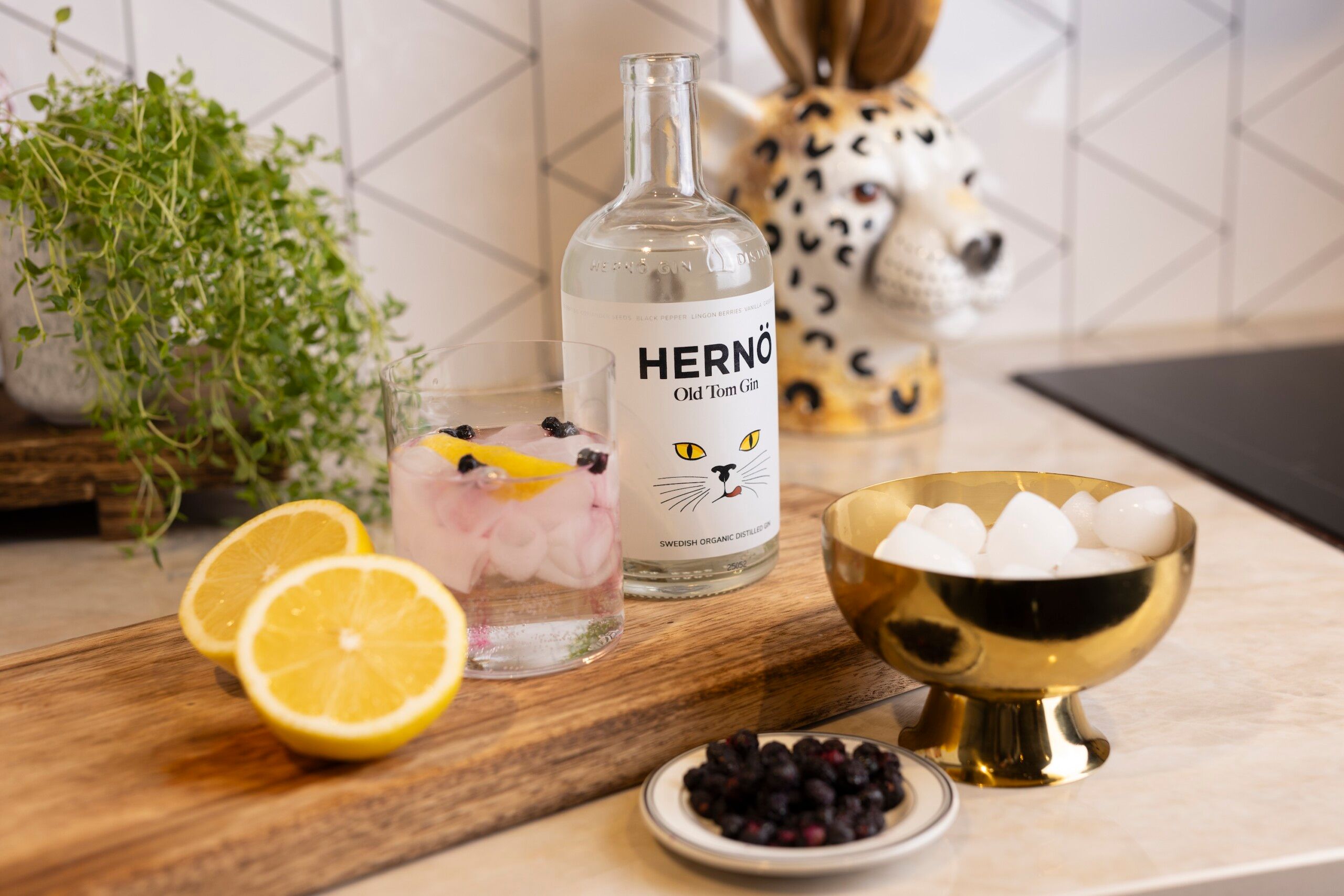 Bild på Old Tom Gin & Tonic – med citron och blåbär