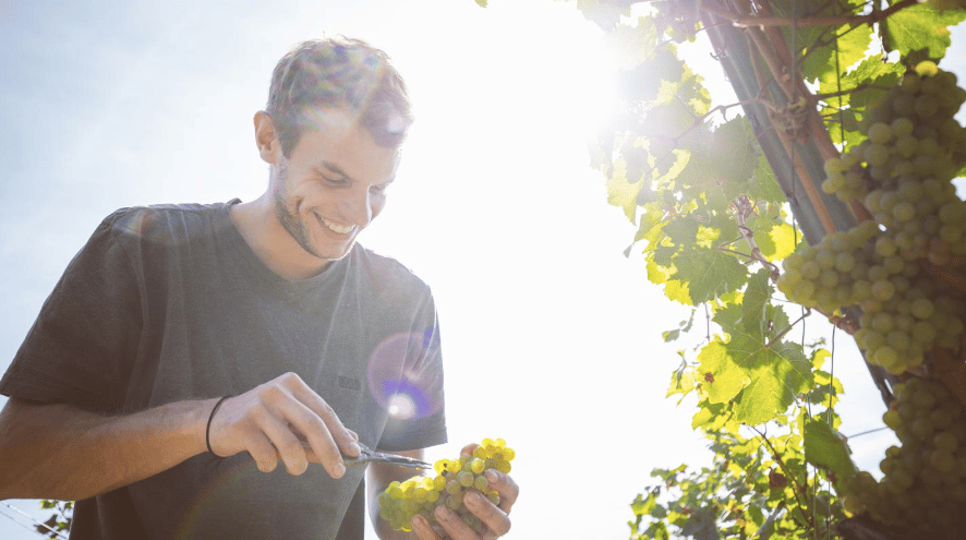Bild på Jason Groebe och framtidens naturvin i Rheinhessen