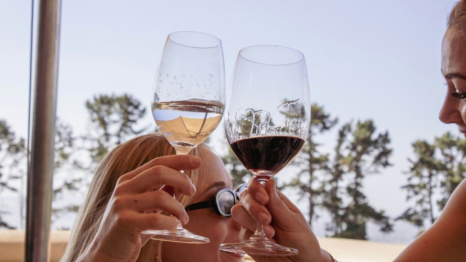 Bild på Vintips – bästa sommarnyheterna på Systembolaget