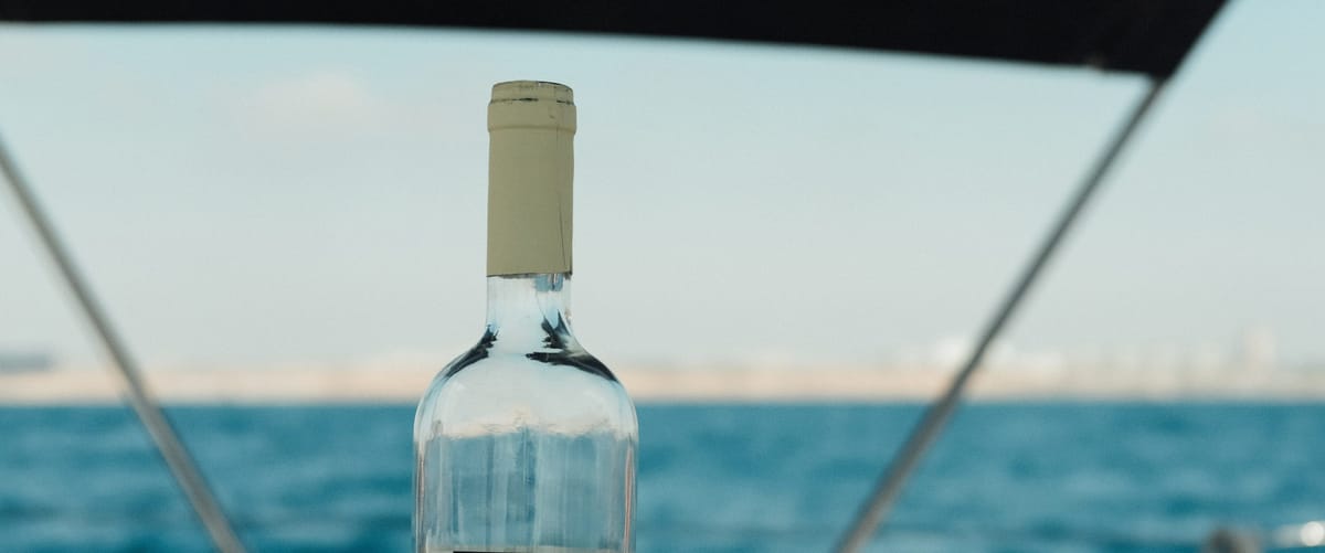Bild på Summer Wine, en Cowboy in Sweden och vem kan segla förutan vin?
