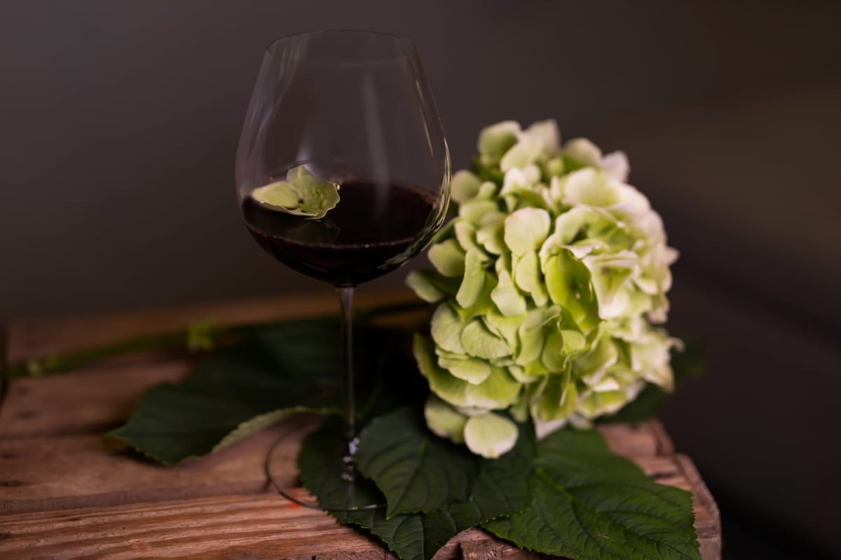 Bild på Smaka på Bourgogne – tio bra tips på viner att prova
