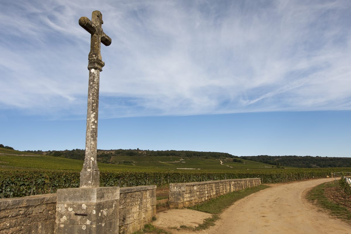 Bild på Bourgogne – en lägesrapport med Totte Steneby