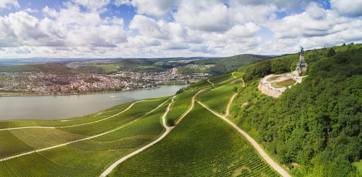 Bild på Klassiska vinregionen Rheingau i förändring