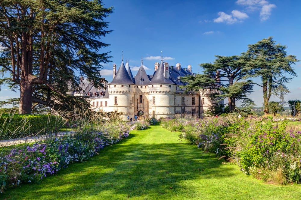 Bild på Loire – en vinresa genom Frankrikes trädgårdar