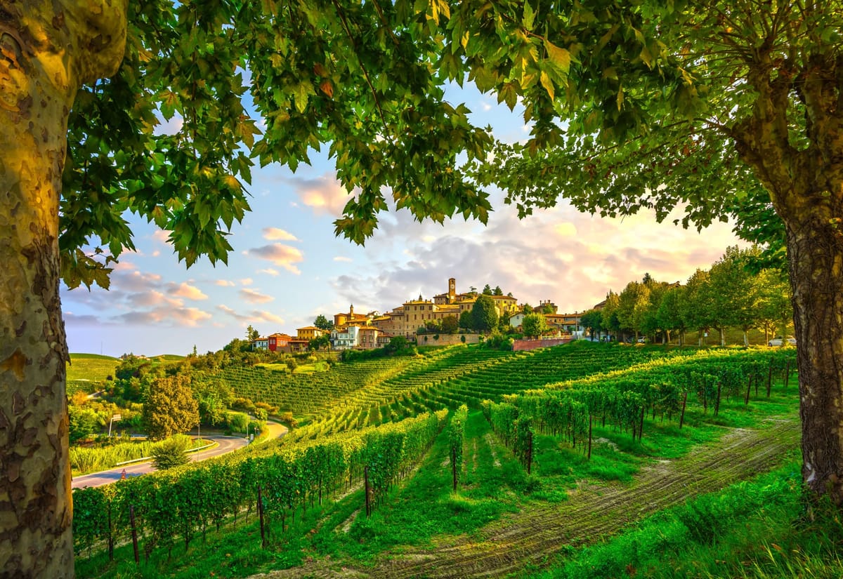 Bild på Piemonte – ett av världens mest älskade vinområden
