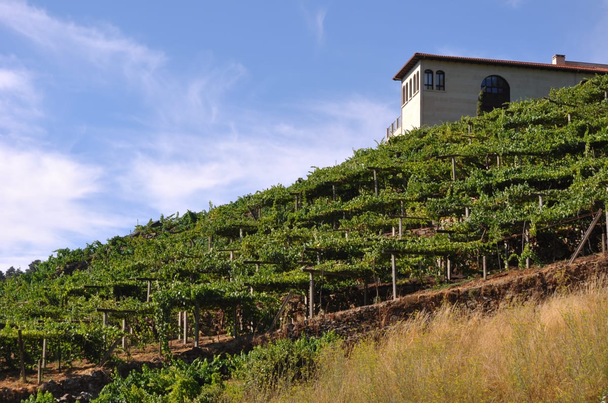 Bild på Galicien – en introduktion till fantastiska viner