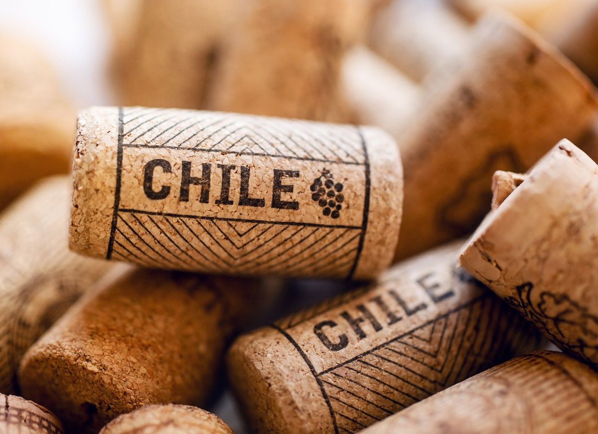 Bild på Unika vintips från Chile