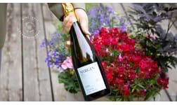 Vintips – sommarbubbel i fast sortiment