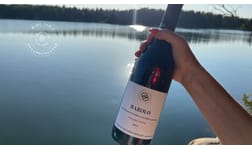 Vintips - sensommarens grillviner