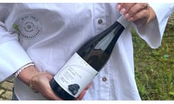 99 luftballons eller 99 problems, but the wine ain't one - Systembolagets bästa vin under 100 kronor