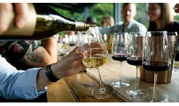 Vintips – höstens bästa nyheter
