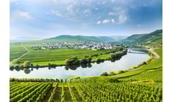 Tyskland runt – karaktärsfull riesling i olika stilar
