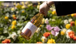 Vintips – tre bra naturviner i fast sortiment