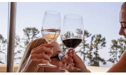 Vintips – bästa sommarnyheterna på Systembolaget