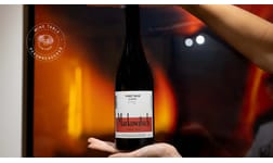Vintips – Systembolagets bästa pinot noir i fast sortiment