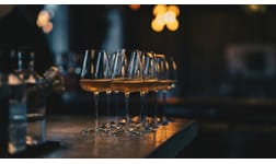 Vintips – bästa vårnyheterna på Systembolaget