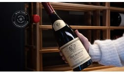 Vin till Boeuf Bourguignon - tre viner på Systembolaget