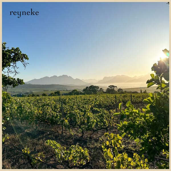 Meet the winemaker – En unik vinprovning med Johan Reyneke - Bild 3