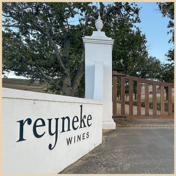 Meet the winemaker – En unik vinprovning med Johan Reyneke - Bild 4