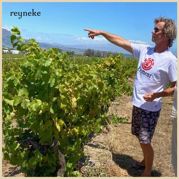 Meet the winemaker – En unik vinprovning med Johan Reyneke - Bild 2