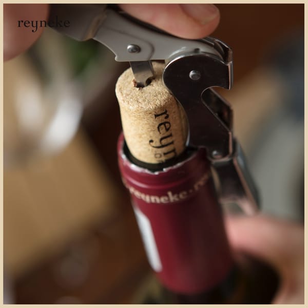 meet the winemaker reyneke