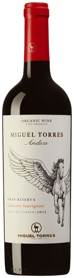 En lättare glasflaska med Andica Cabernet Sauvingon 2023, ett rött vin från Valle Central i Chile