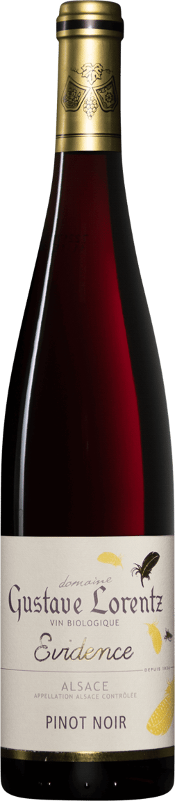 En glasflaska med Gustave Lorentz Evidence Pinot Noir 2020, ett rött vin från Alsace i Frankrike