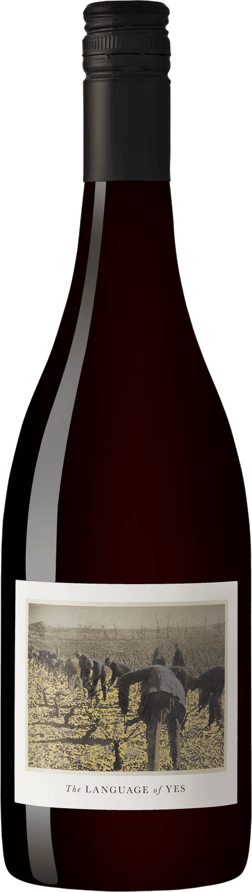 En lättare glasflaska med Language of Yes Grenache 2022, ett rött vin från Kalifornien i USA