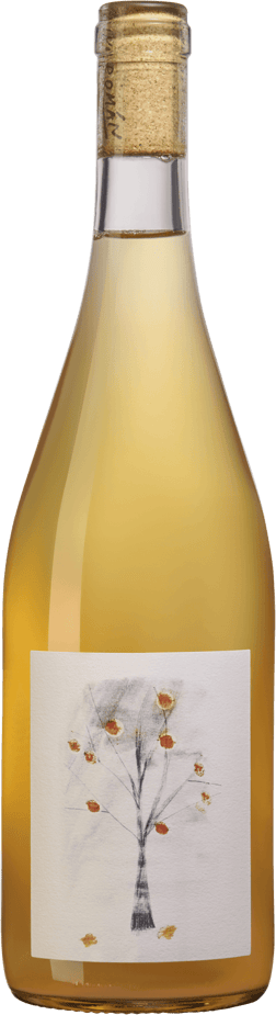 En glasflaska med Pino Román Naranjo 2024, ett vitt vin från Région del Sur i Chile