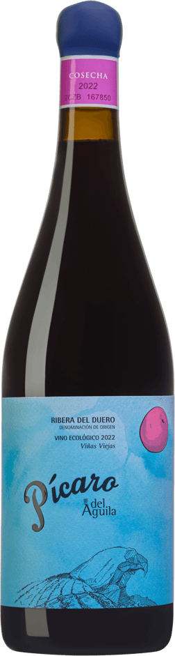 En glasflaska med Dominio del Aguila Picaro Tinto 2022, ett rött vin från Kastilien-León i Spanien