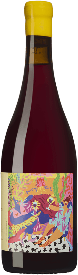 En glasflaska med Viña Buena Esperanza Hacienda Compañía 2023, ett rött vin från Atacama i Chile