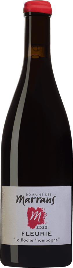 En glasflaska med Son Antem Alba 2022, ett rött vin från Bourgogne i Frankrike