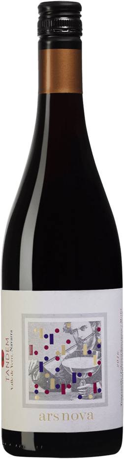 En glasflaska med Bodegas Tandem Ars Nova 2016, ett rött vin från Navarra i Spanien