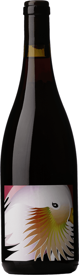 En glasflaska med Grape Republic Rosso 2023, ett rött vin från Japan