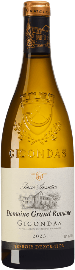 En glasflaska med Von Winning Forster Ungeheuer Riesling GG 2021, ett vitt vin från Rhonedalen i Frankrike