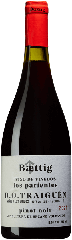 En glasflaska med Baettig Los Parientes Pinot Noir 2021, ett rött vin från Région del Sur i Chile