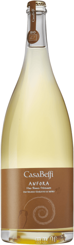 En glasflaska med Cantina Vini Armani Casa Belfi Anfora Vino Bianco Frizzante, ett vitt vin från Venetien i Italien