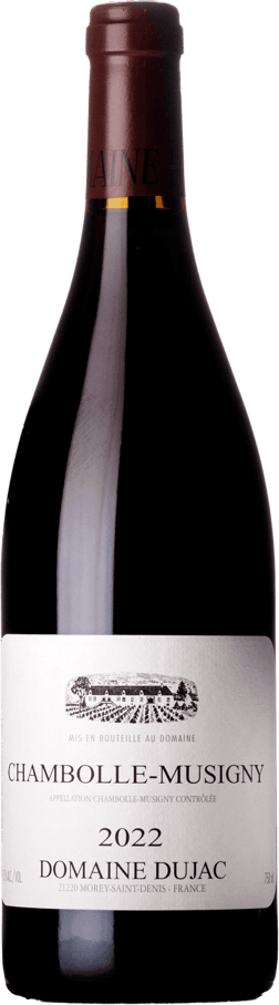En glasflaska med Arianna Occhipinti Grotte Alte 2019, ett rött vin från Bourgogne i Frankrike