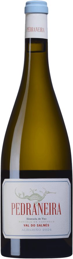 En glasflaska med Fento Wines Pedraneira Albariño 2024, ett vitt vin från Galicien i Spanien