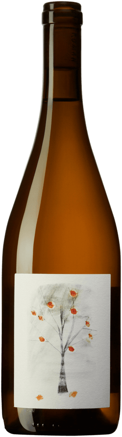 En glasflaska med Pino Román Naranjo 2022, ett vitt vin från Région del Sur i Chile