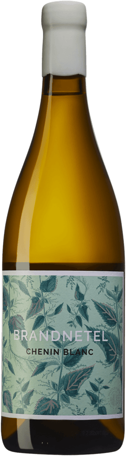 En glasflaska med Thistle & Weed Brandnetel Chenin Blanc 2021, ett vitt vin från Western Cape i Sydafrika