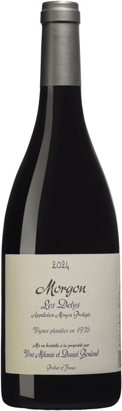 En glasflaska med Daniel Bouland Morgon Les Delys 2024, ett rött vin från Bourgogne i Frankrike