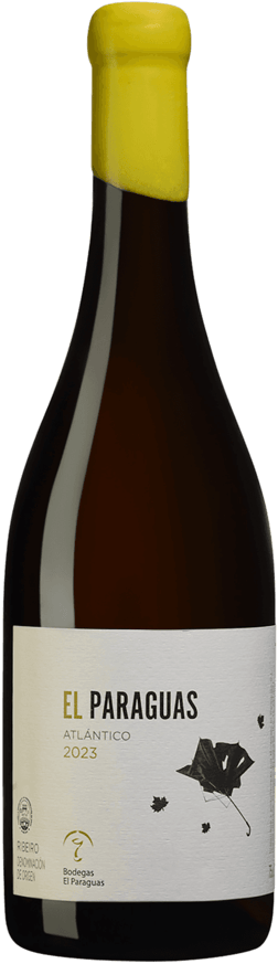 En glasflaska med Catherine et Claude Marechal Savigny-lès-Beaune Vieilles Vignes 2020, ett vitt vin från Galicien i Spanien