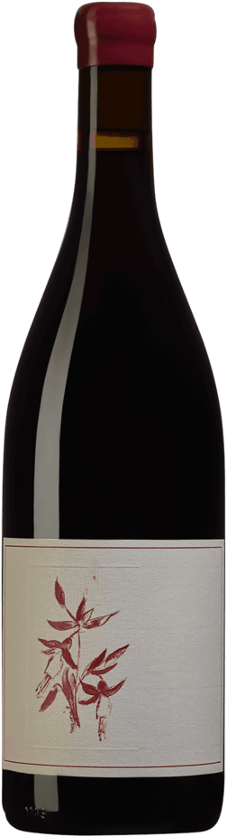 En glasflaska med Arnot-Roberts Syrah 2022, ett rött vin från Kalifornien i USA